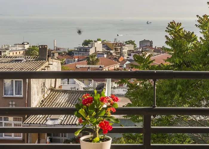 アメドロス ホーム